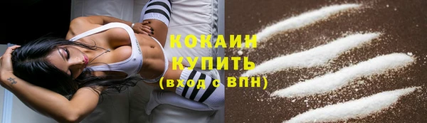 гидра Верея