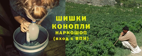 гидра Верея