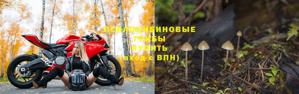 гидра Верея