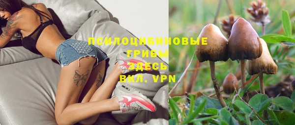 соль ск Верхнеуральск