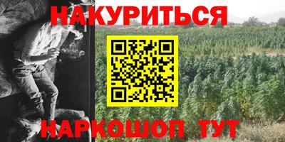 шишки Будённовск