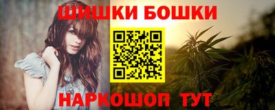 шишки Будённовск