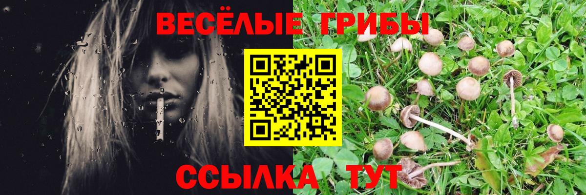 Галлюциногенные грибы Magic Shrooms Воткинск