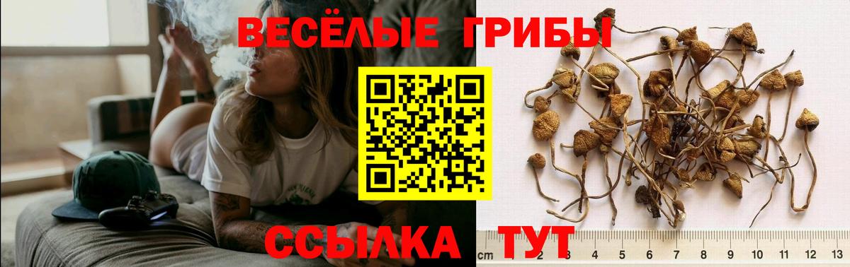 как найти закладки  Псилоцибиновые грибы мухоморы  Вход с VPN  Воткинск 